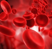 Время свертывания крови и длительность кроветечения