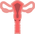 Диагностическая вакуум-аспирация полости матки с выдачей результата гистологического исследования