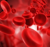 Исследование уровня инсулина плазмы крови