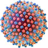 Вирус гепатита С, определение суммарных антител класса IgG и IgM (медосмотр)