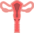 Биопсия шейки матки с выдачей результата гистологического исследования