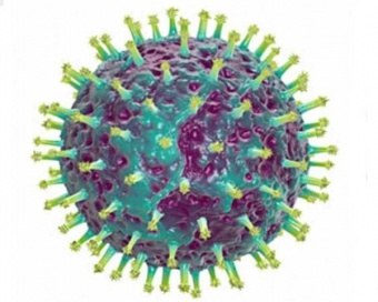Вирус гепатита В, определение антител класса IgM к ядерному антигену (Hbcor ag IgM) (медосмотр)