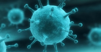 Вирус гепатита В, определение поверхностного антигена (Hbs ag) (медосмотр)